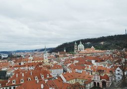 25187529080_778bb4de42_c