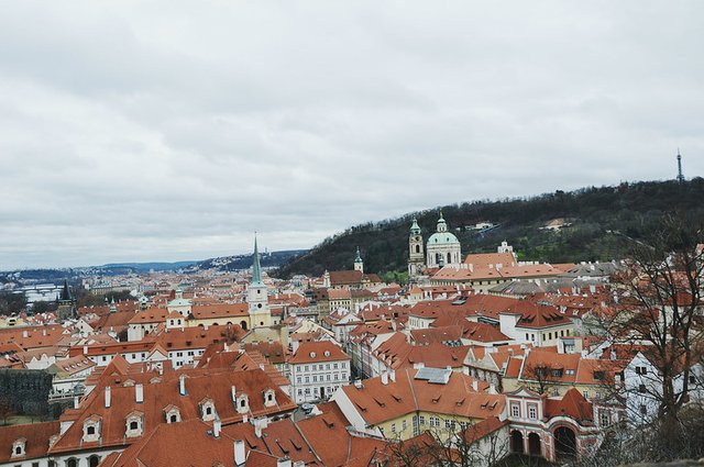 25187529080_778bb4de42_c