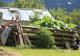 2607183195_c5cf05986c_c