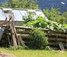 2607183195_c5cf05986c_c