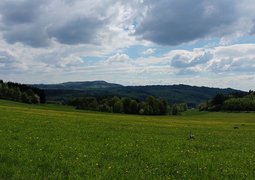 26929102835_ecb4995ccb_c