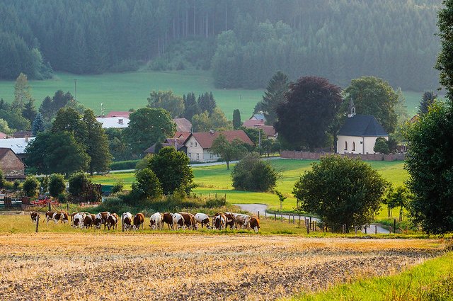 28438897902_1a908446c2_c