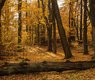 31015602962_f69ffc9431_c