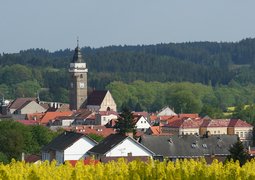 3497637753_dc890428db_c