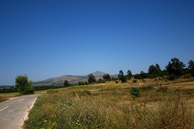 3937453355_927126df90_c