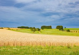 42608006154_297546d71d_c