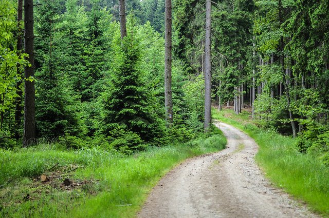 44740086975_7d95139de2_c