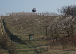 46735565624_10819bf952_c