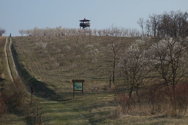 46735565624_10819bf952_c