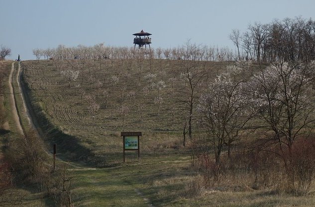 46735565624_10819bf952_c