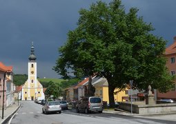 48298056291_c27dfc69eb_c