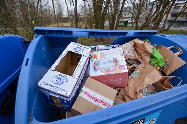 49547778181_c63d4f64fa_c