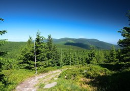 50086100306_b4ffcb8713_c