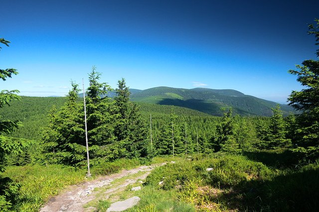 50086100306_b4ffcb8713_c