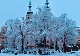 50741321991_fbe8d63685_c