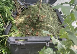 51289715100_e55b7c1d0f_c