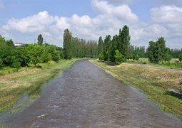 51295860348_f52cd43e84_c