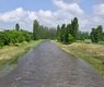 51295860348_f52cd43e84_c