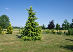 52386469876_32157a02a0_c