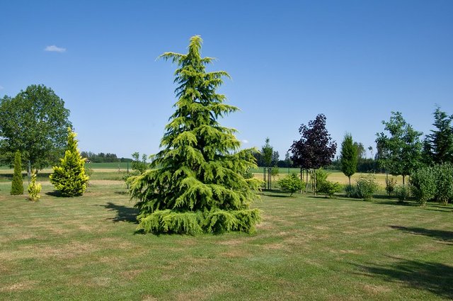 52386469876_32157a02a0_c