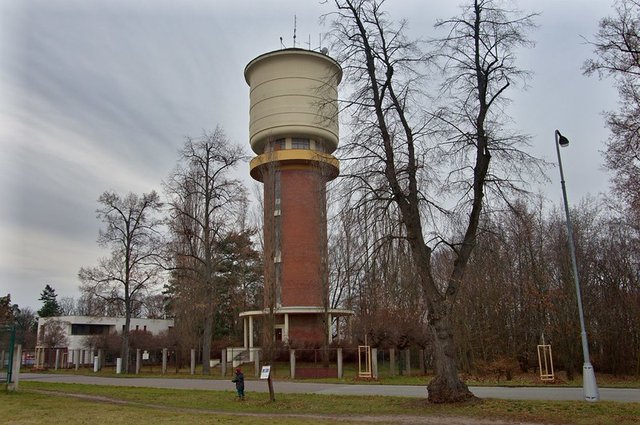 52632546454_a544d3f66e_c