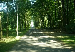 52673400387_f80161e4ef_c