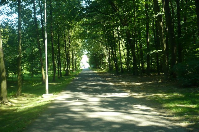 52673400387_f80161e4ef_c