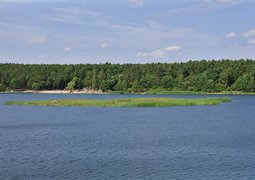 53067863870_c6d2dc3837_c