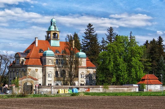 53800587917_6aa124b417_c