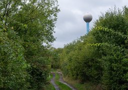 54085306572_c8975649aa_c