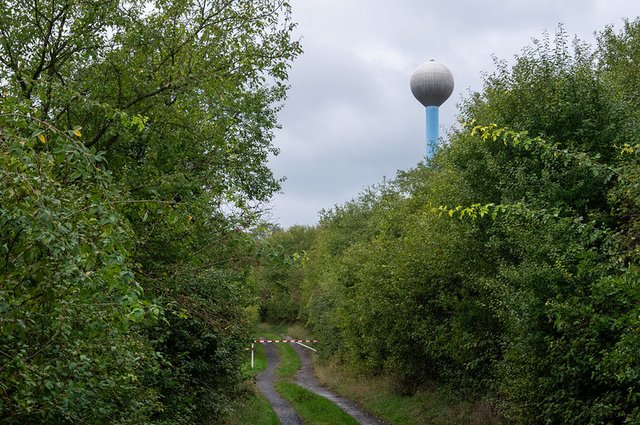 54085306572_c8975649aa_c