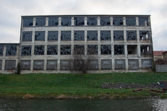 54990444867_8cc6665f14_c