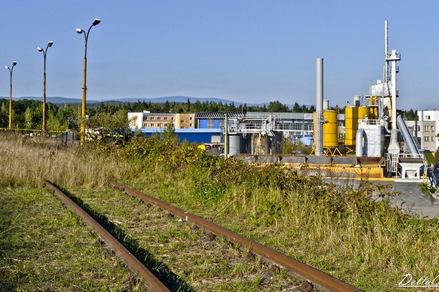 6178215385_c943b8def1_c