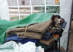 7099605219_f0daed4285_c