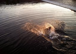 8620330810_33891ff819_c