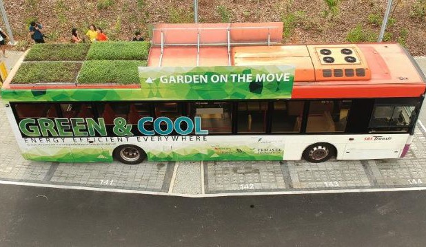 Autobusy v Singapuru zdobí zelené střechy