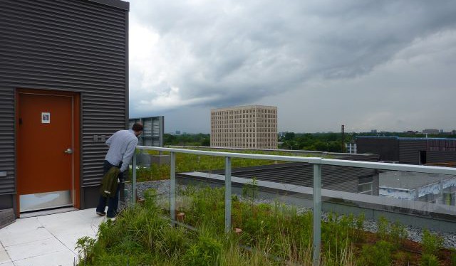 Brno: dotace na zelené střechy a zachytávání dešťové vody