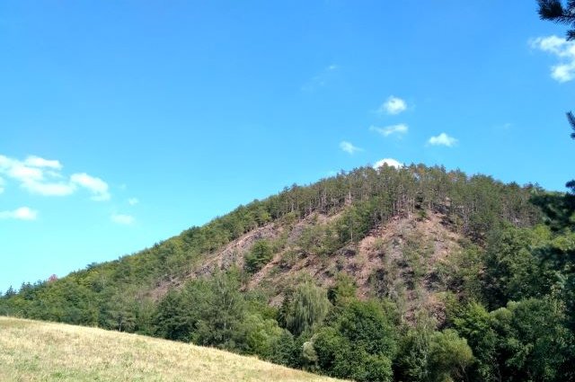 Chybí voda! Sucho zabíjí rostliny i živočichy