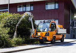 Elion Orange Gießarm222223