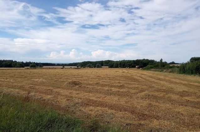 Jak zvládnout sucho i povodně? Ministerstvo zemědělství mění krajinu, aby zadržela více vody