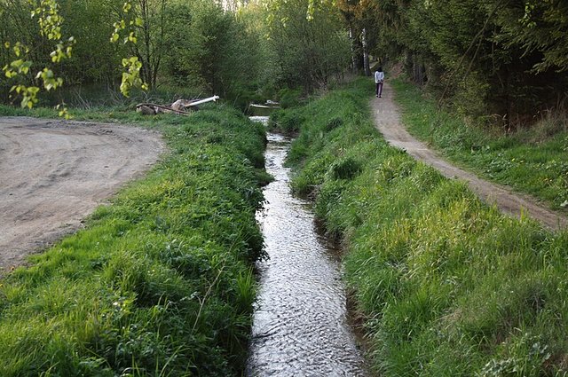 Jihlávka_River_in_Stonařov,_Jihlava_District