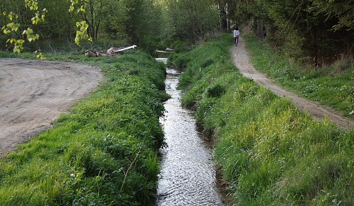 Jihlávka_River_in_Stonařov,_Jihlava_District