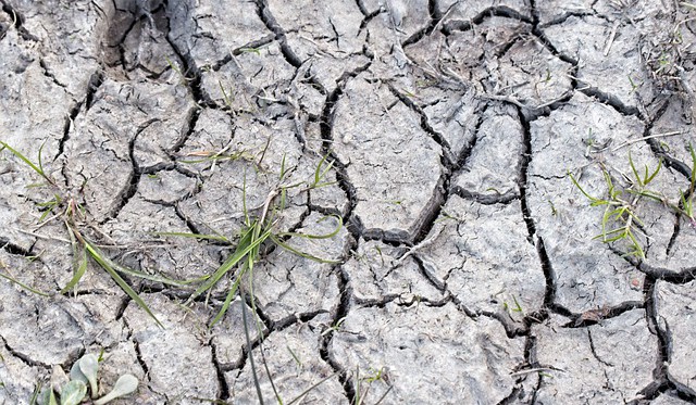 Již čtvrtstoletí si svět připomíná boj proti suchu a rozšiřování pouští