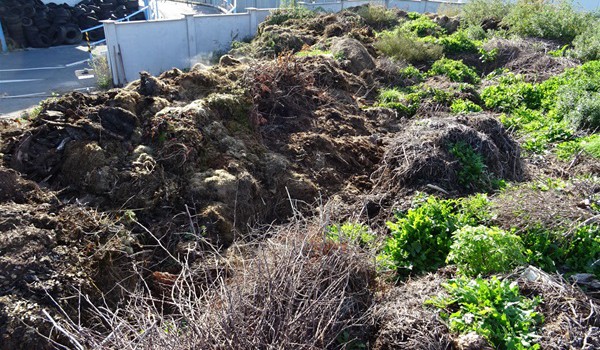 Město Dobřany provozovalo kompostárnu v rozporu se zákonem. Dostalo pokutu 100 tisíc korun