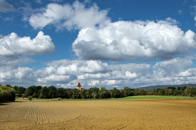 Ministr zemědělství: Kvůli klimatickým změnám musíme změnit hospodaření, zemědělce v tom musíme do