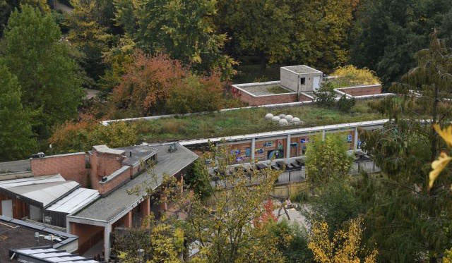 Navýšení dotace na zelené střechy