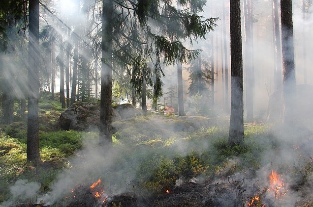 Nebezpečí vzniku požárů na území Jihočeského kraje je zatím na nízkém stupni