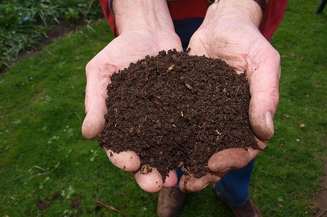 Nemáte místo pro kompost a v bytě vám žížaly vadí? Zkuste kompostování s pomocí Bokashi bakterií!