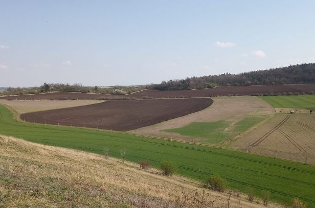 Ochrana půdy: otázka přežití pro lidstvo 