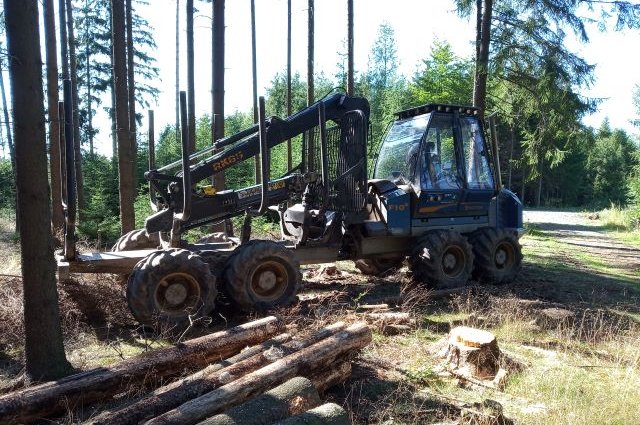 Odbyt dřeva ovlivňuje koronavirová pandemie, ceny snižuje kůrovec